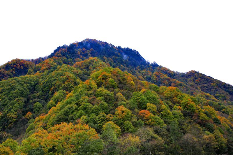 083a0289_dh.jpg