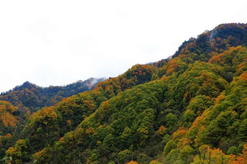 083a0304_dh.jpg
