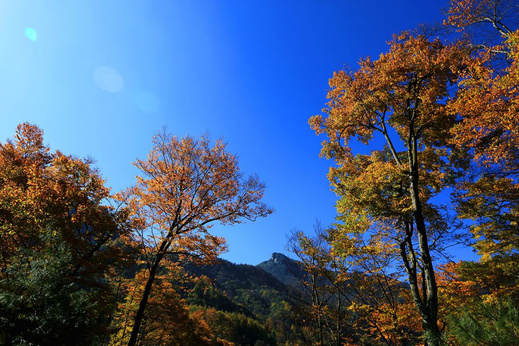 083a1106.jpg
