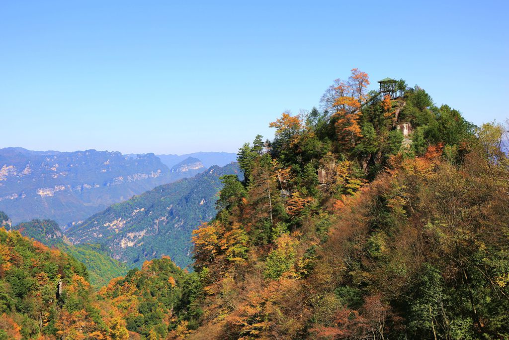 083a1178.jpg