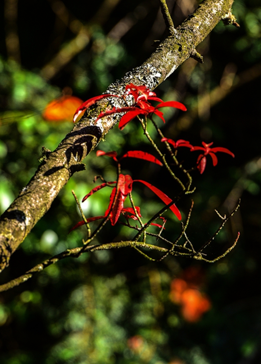 dsc_1132.jpg