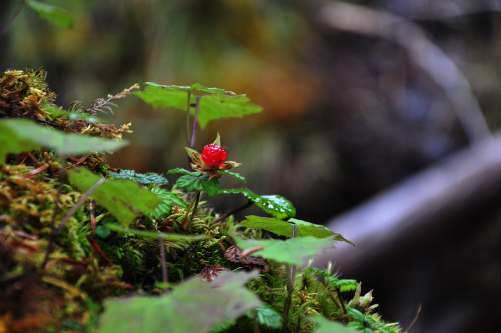 edsc_0137.jpg