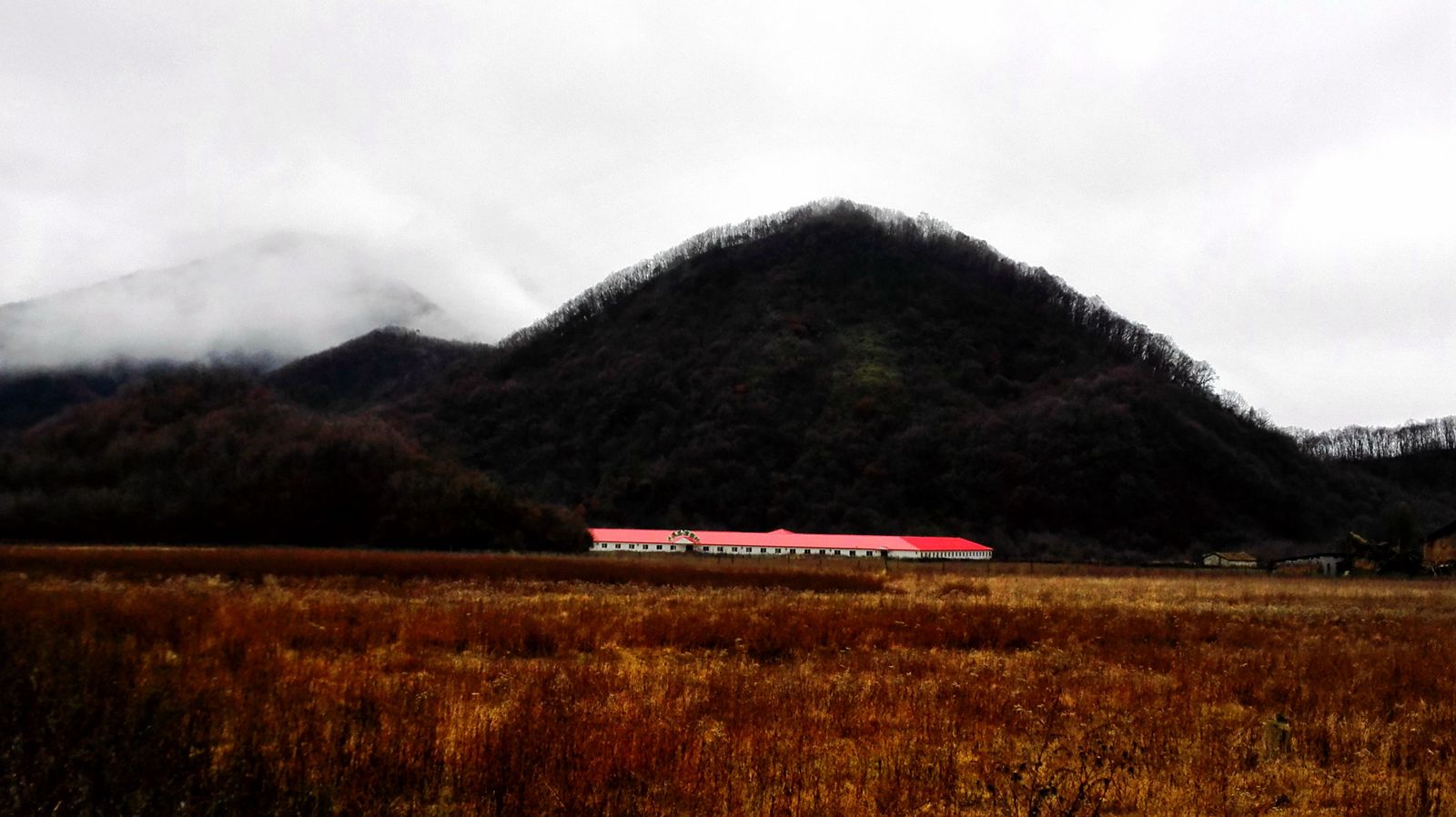 img_20151111_094153.jpg