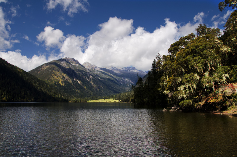 edsc_0282.jpg