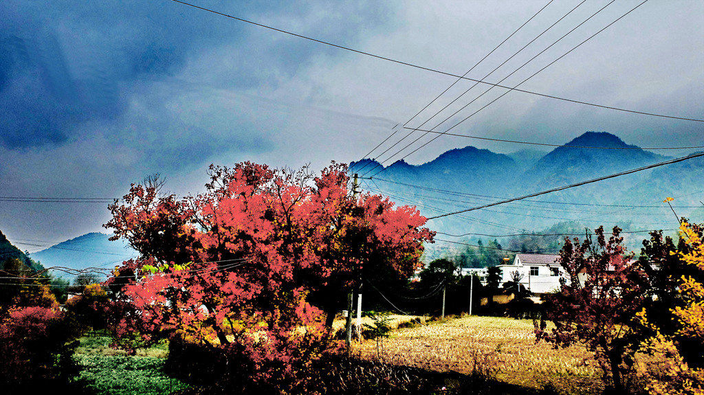 dscf2277.jpg