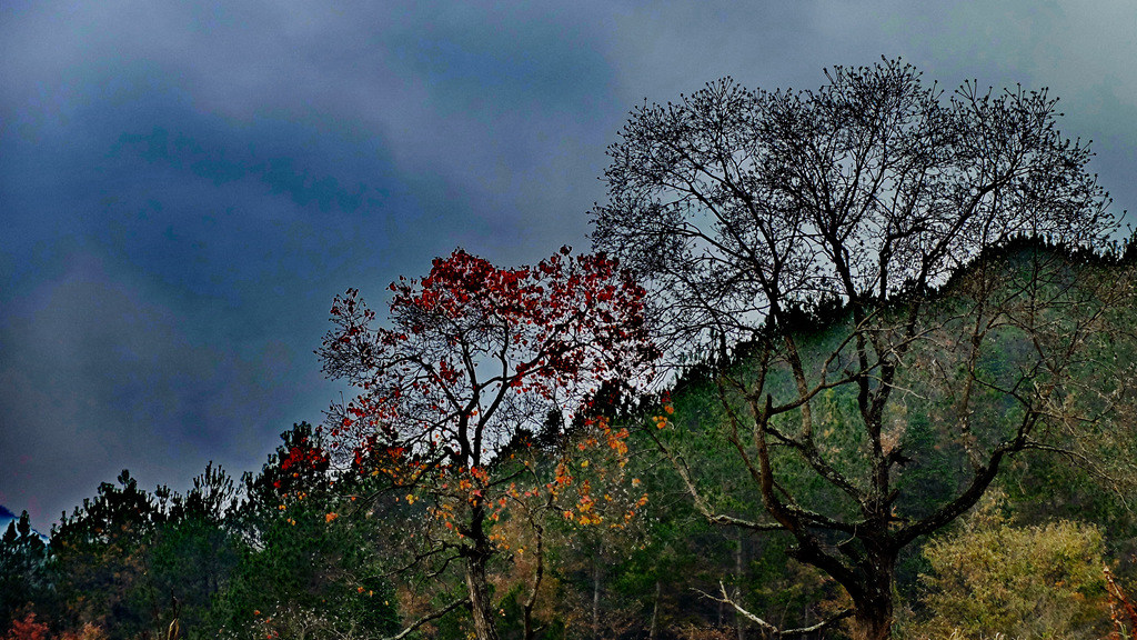 dscf2372.jpg