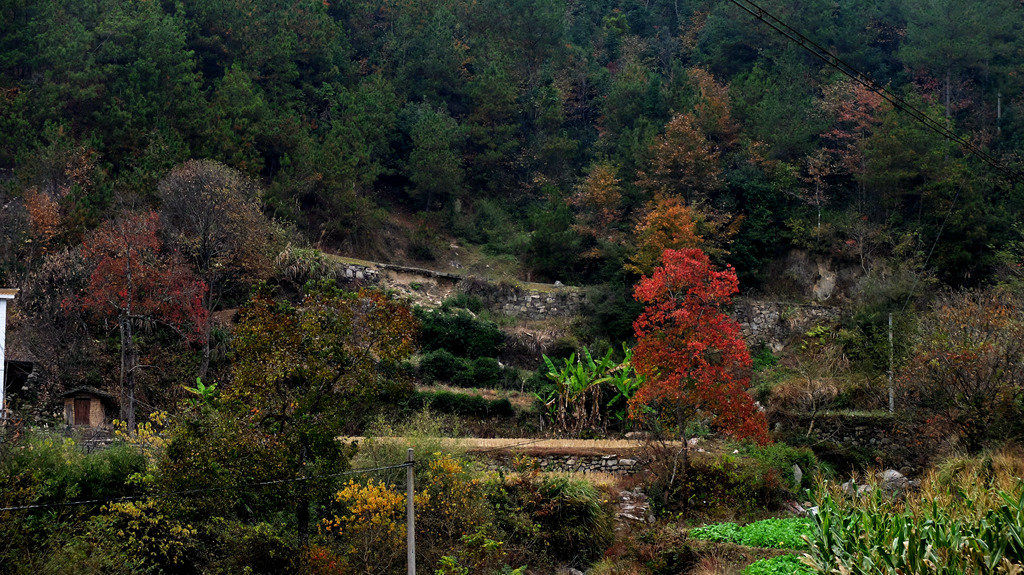 dscf2326.jpg