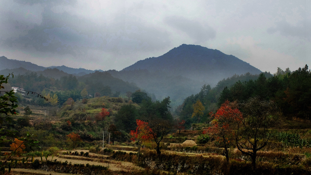 dscf2329.jpg