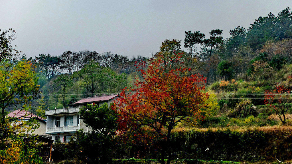 dscf2342.jpg