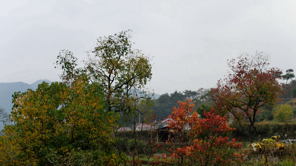 dscf2347.jpg