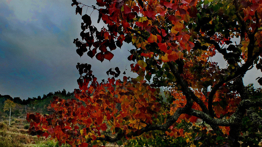 dscf2353.jpg