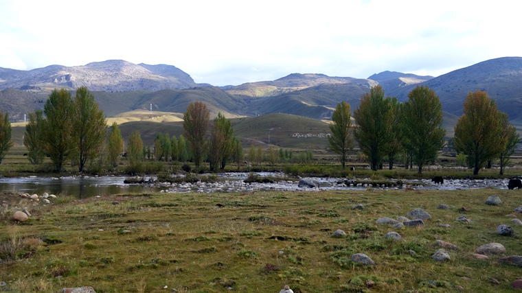 20151001_082718_.jpg