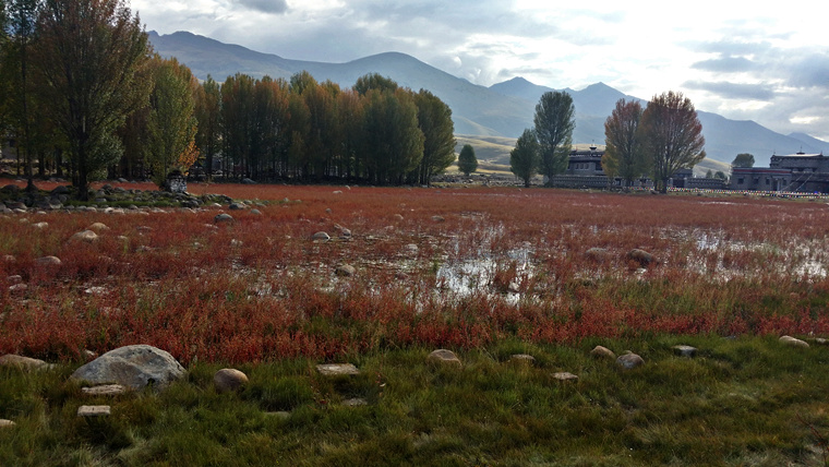 20151001_083424_richtone(hdr)_.jpg