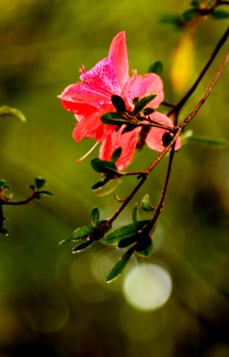 img_8789_.jpg