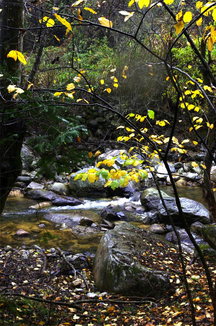 _igp3229.jpg