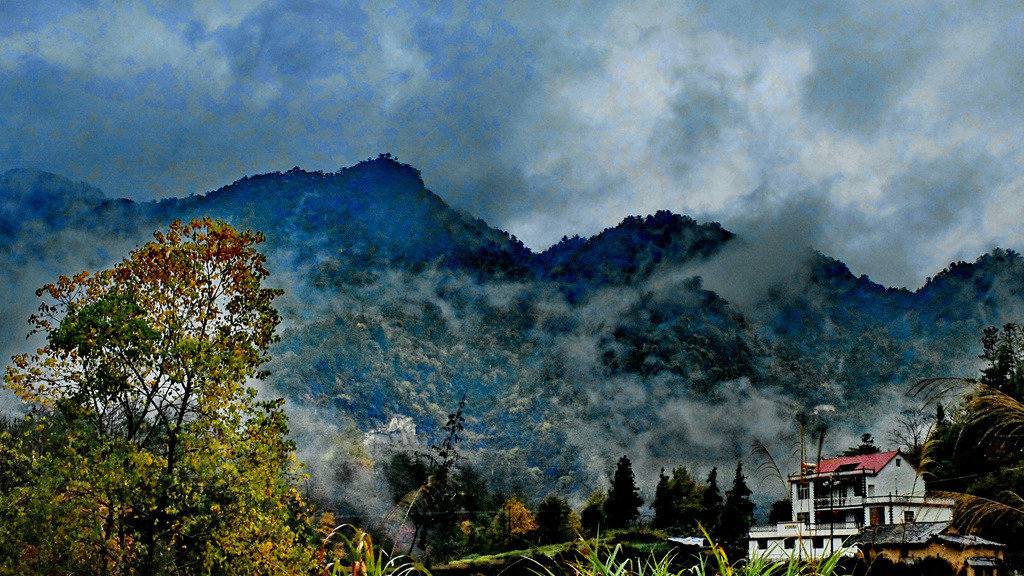dscf2551.jpg