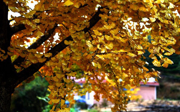 img_8900__.jpg