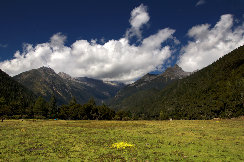 adsc_0295.jpg