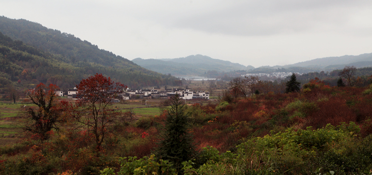 img_5091_副本.jpg