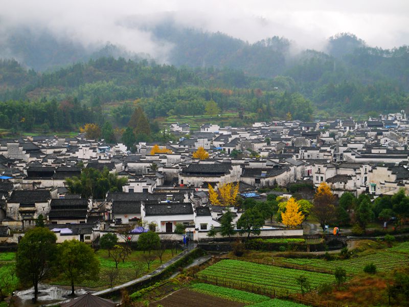 p1230440_副本.jpg