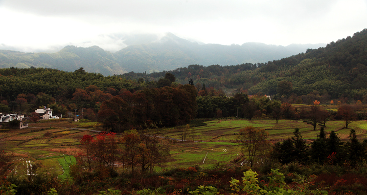 img_5092_副本.jpg
