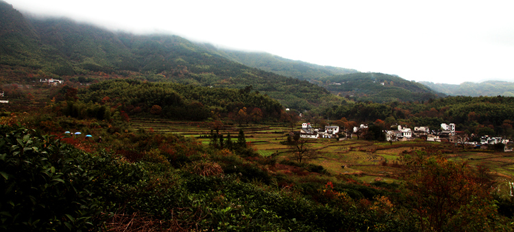img_5093_副本.jpg