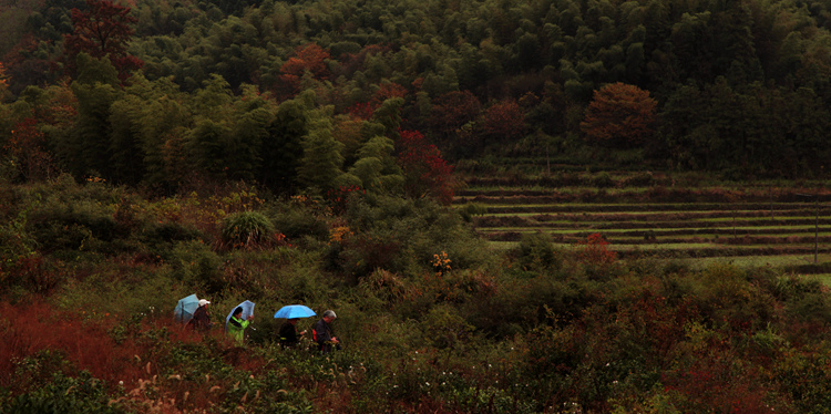 img_5095_副本.jpg