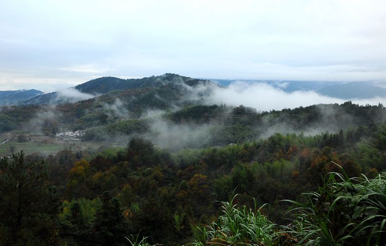15安徽宏村，西递  塔川 082_副本_副本.jpg