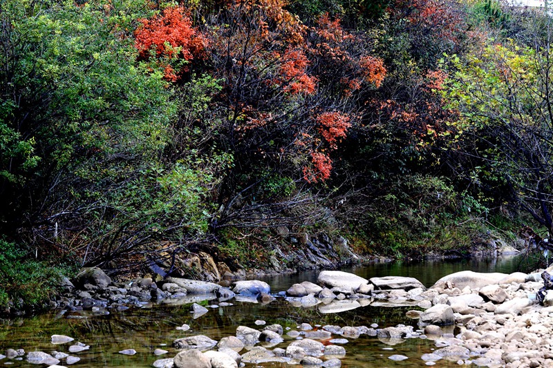 img_8935_副本_副本.jpg