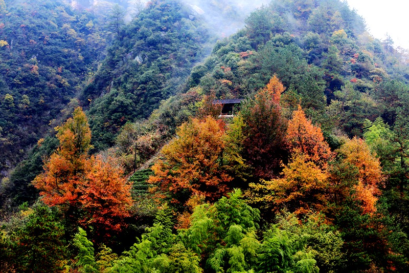 img_9015_副本.jpg