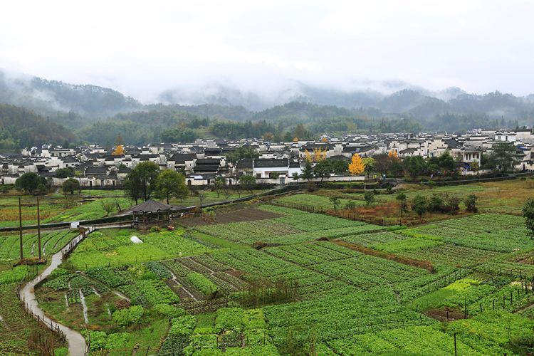 安徽行 192_副本.jpg