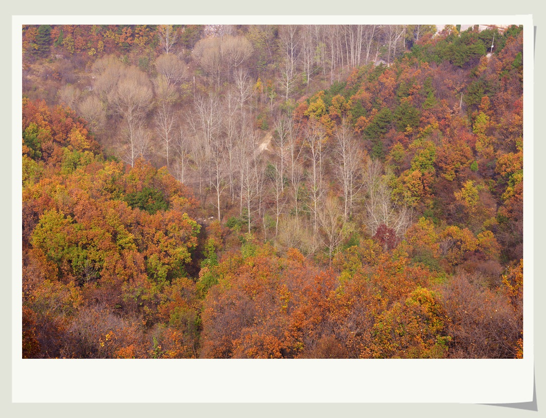 黑毛沟黄围山白径古道m53.jpg
