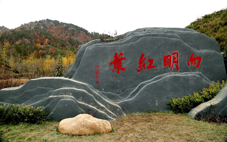 3d6a1368.jpg