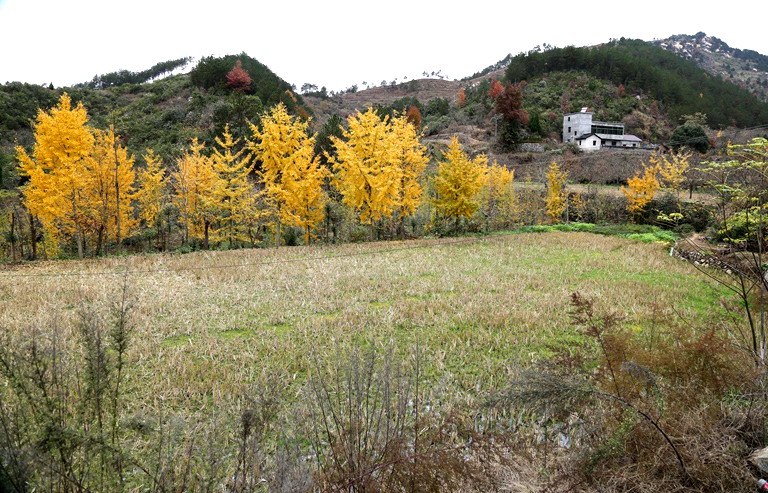 3d6a1149.jpg