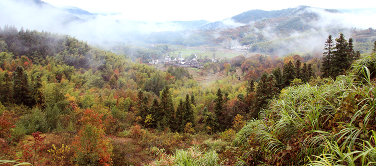 img_5142_副本.jpg
