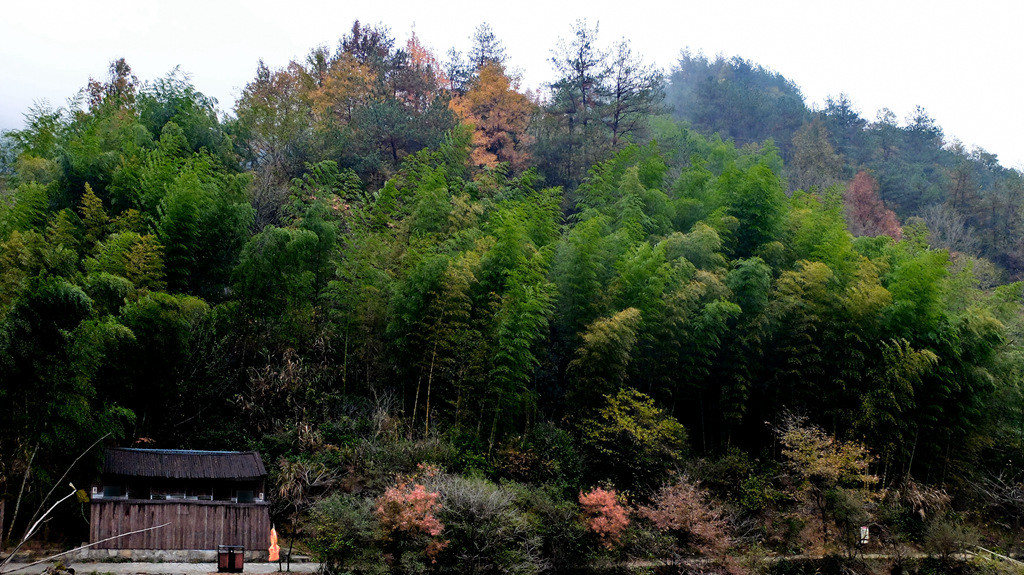dscf2764.jpg