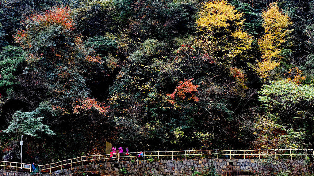 dscf2825.jpg