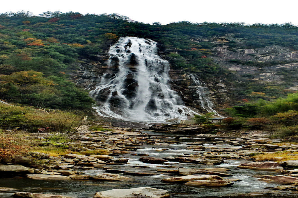 dscf2905.jpg