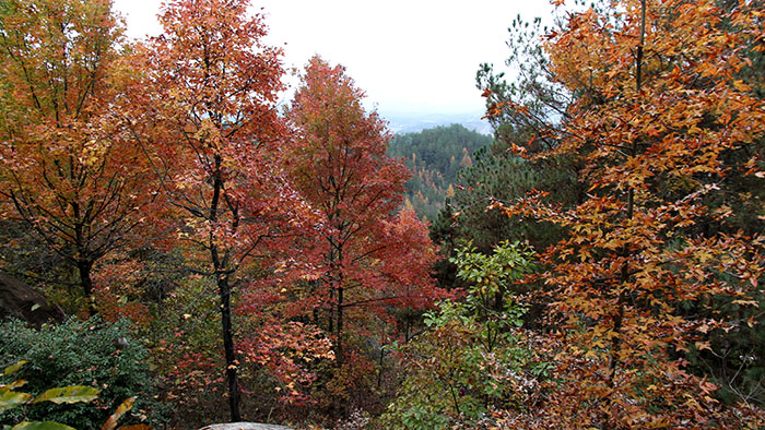 img_8860.jpg