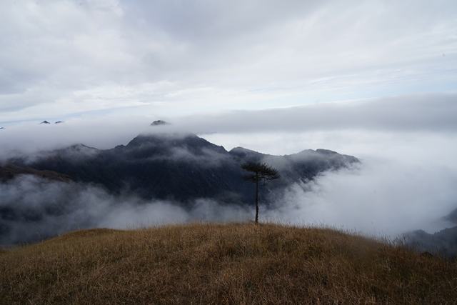 dsc02680.jpg
