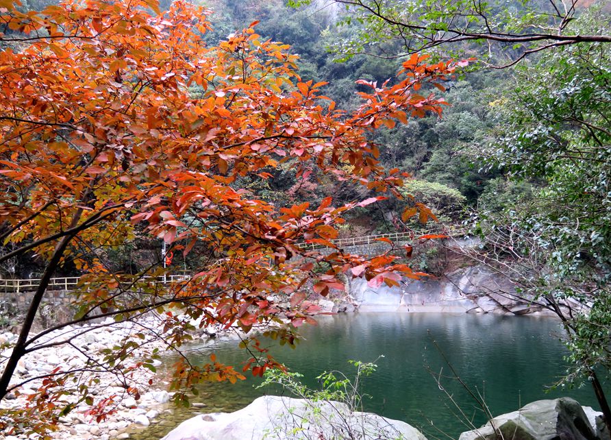 岳西行.jpg