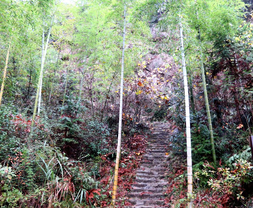 岳西行.jpg