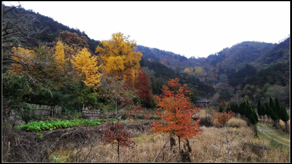 qqͼƬ20151124204050.jpg