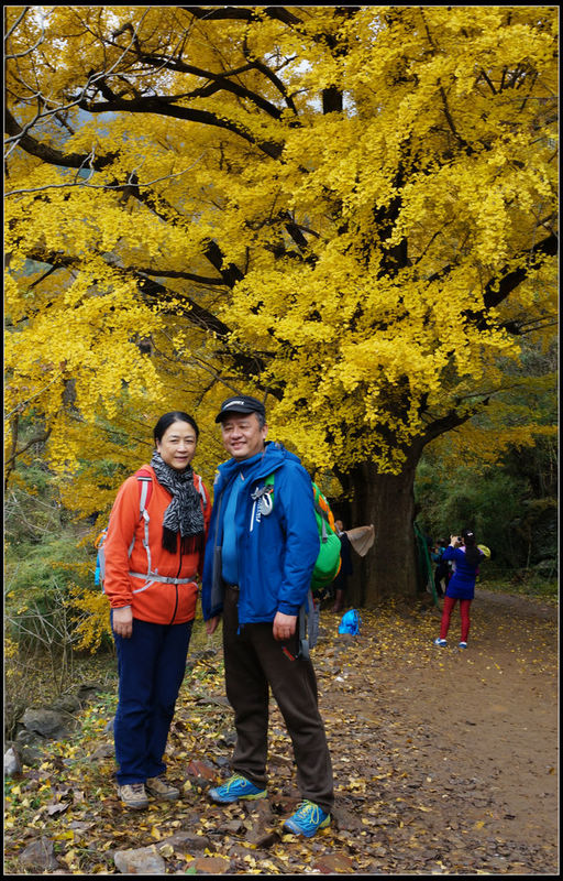 dsc08993.jpg