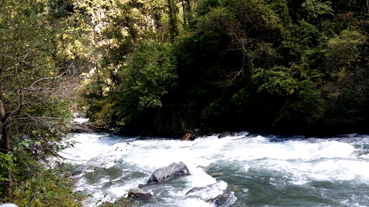 20151002_135406_.jpg