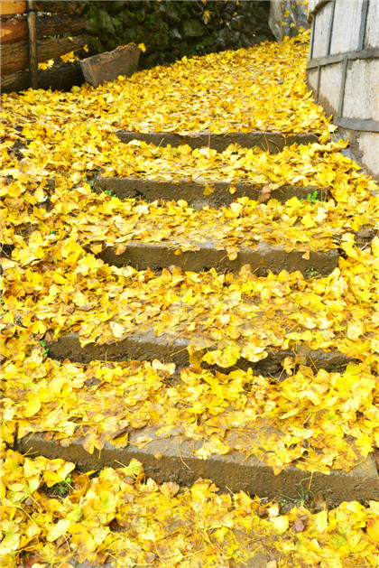 dsc_0375__2.jpg