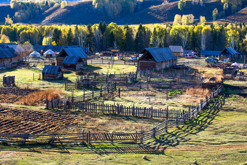 w50a3527_СС.jpg