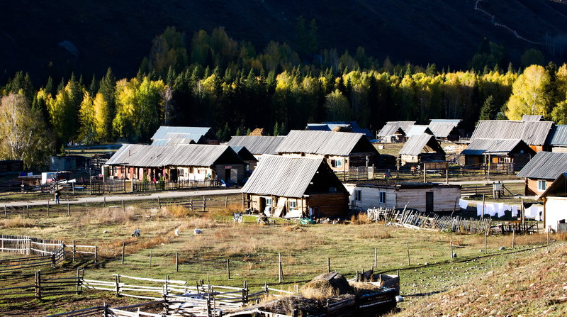 w50a3531_СС.jpg
