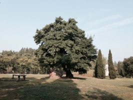 psb (10).jpg