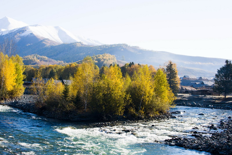 w50a3665_СС.jpg